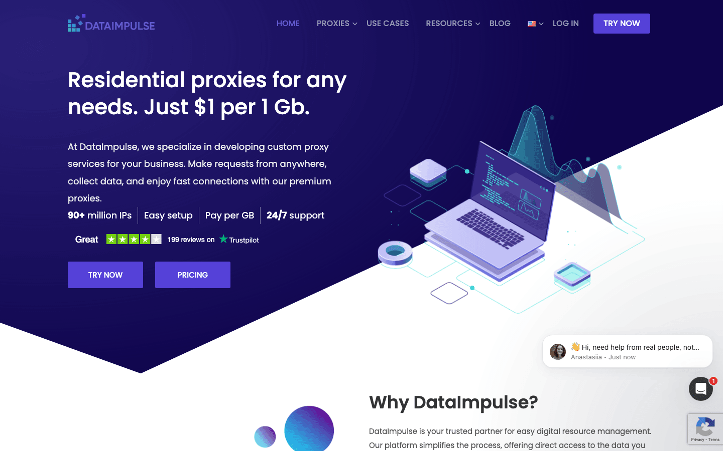 007_dataimpulse_homepage.png