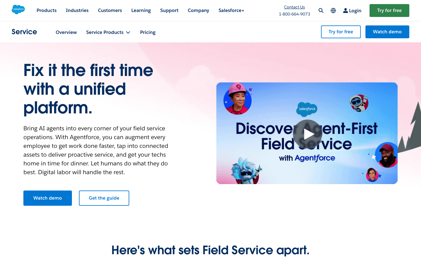 009_salesforce_homepage.png