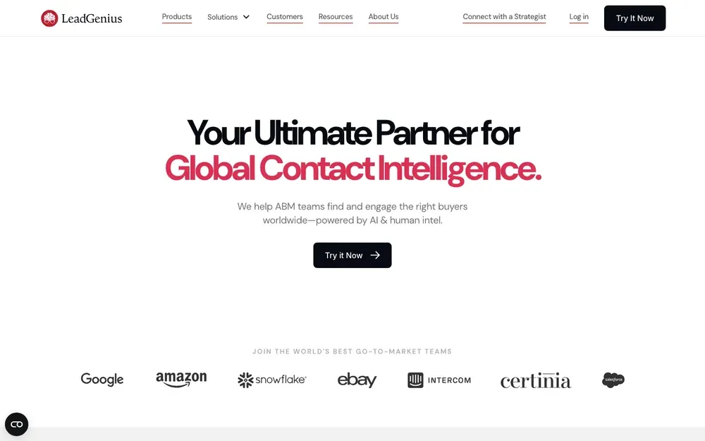 011_leadgenius_homepage.png
