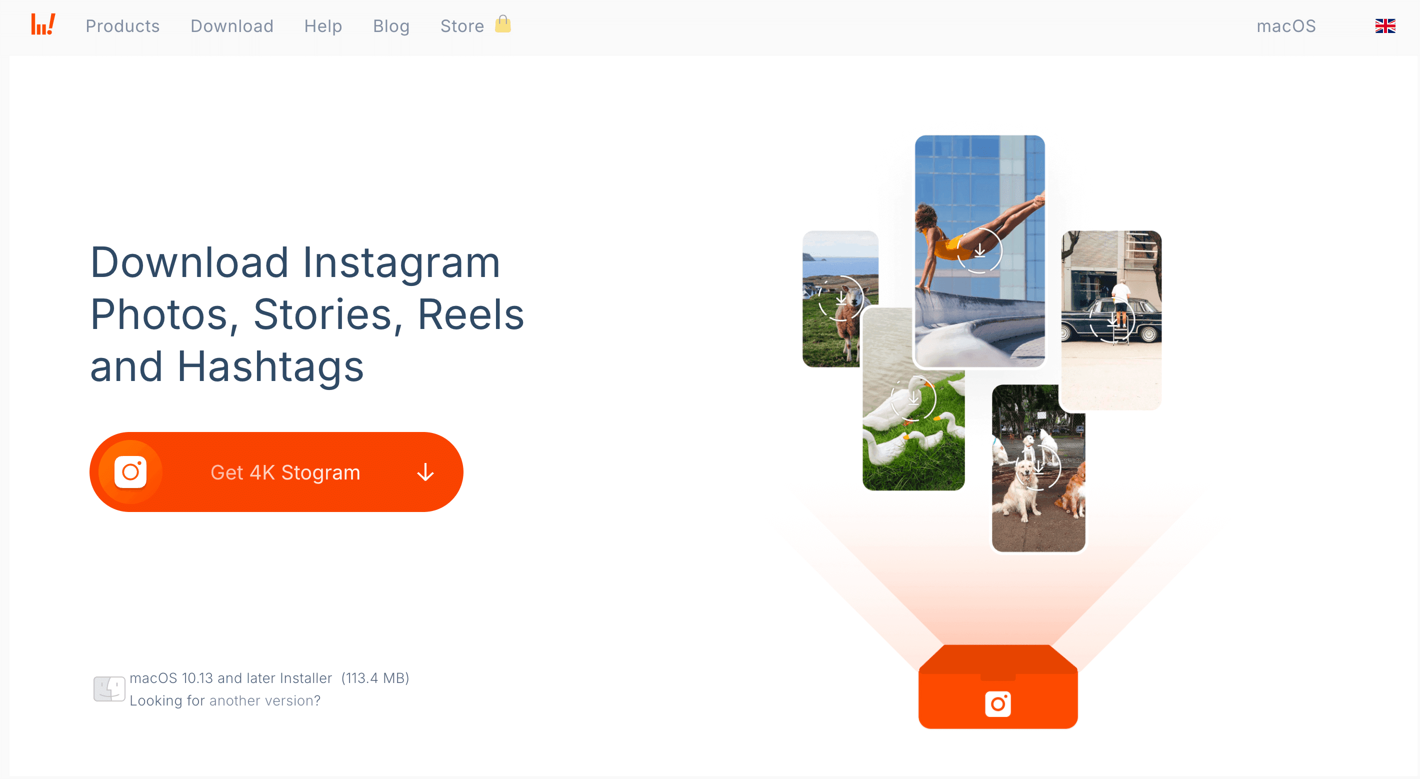 4k-stogram-instagram-photo-downloader-macos.png