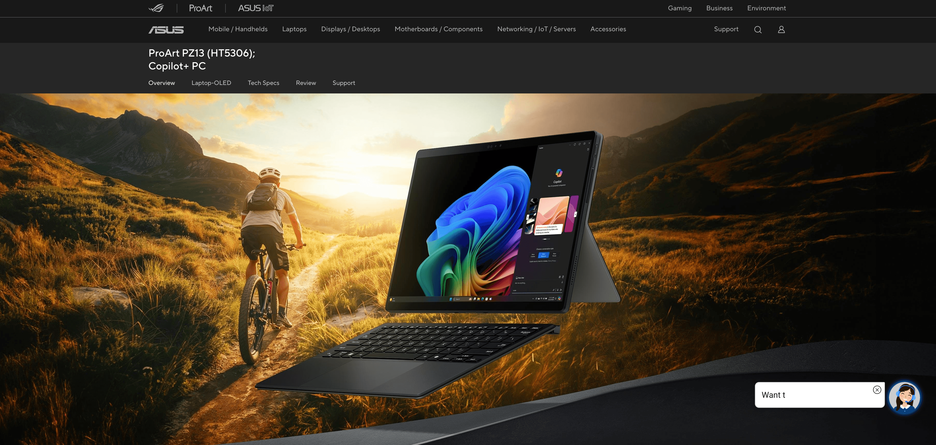 Asus Product Details Screenshot