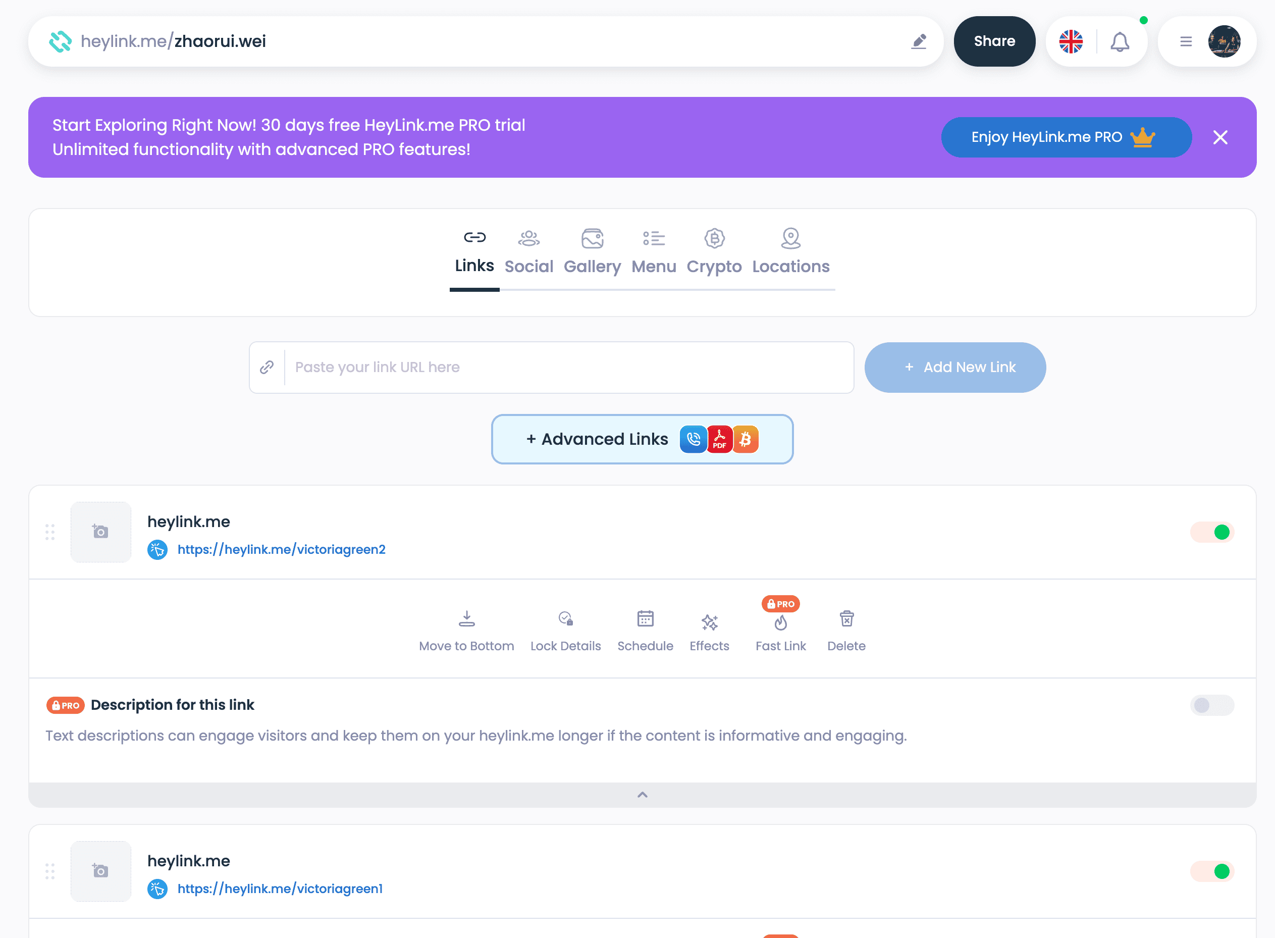 Link Info Screenshot