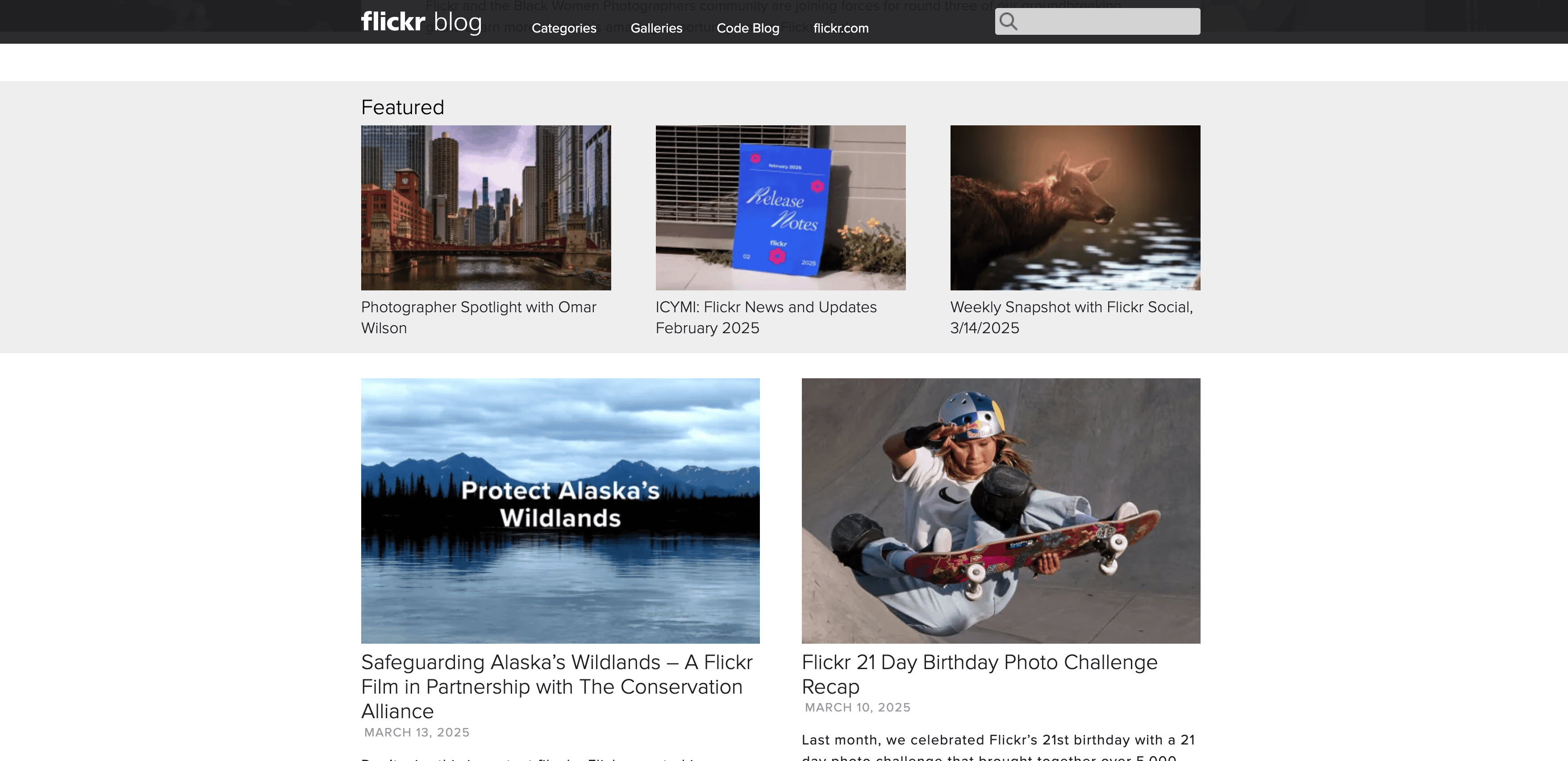 Flickr Blog Page Screenshot