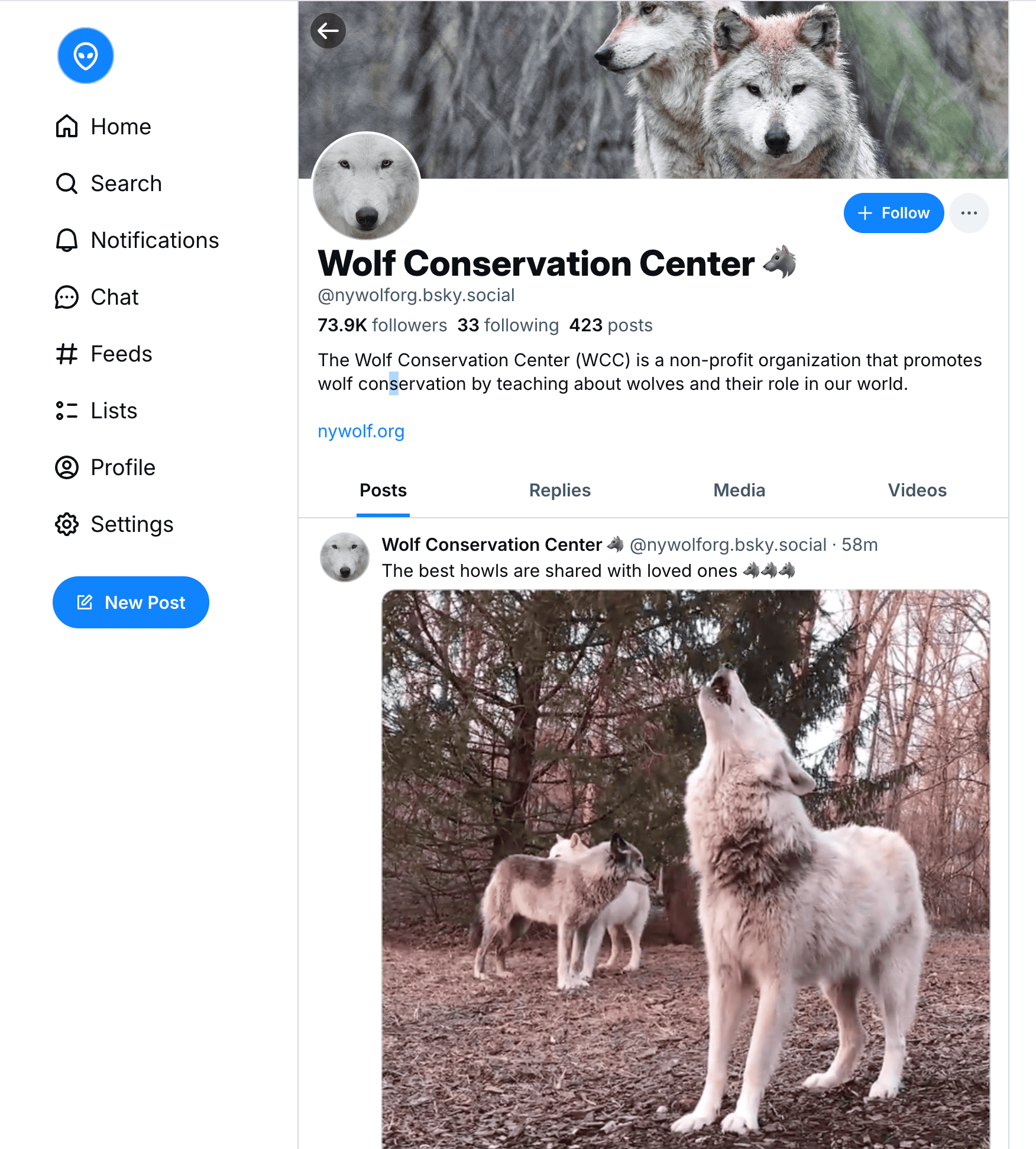 Profile Scraper Screenshot