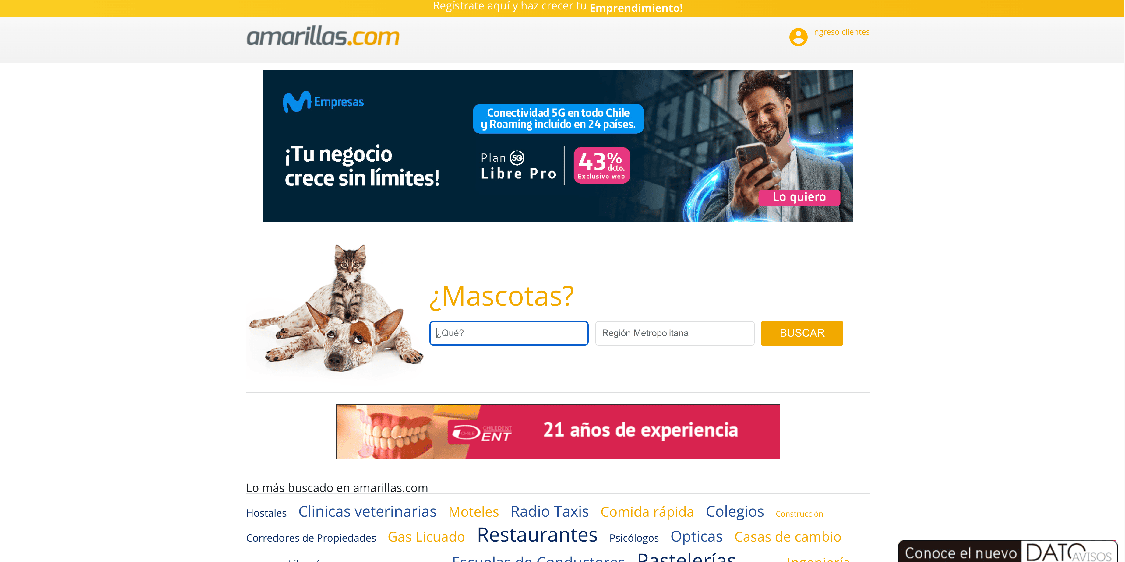 Amarillas.com Screenshot