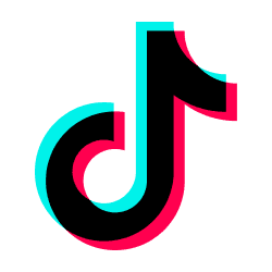 TikTok Profile Videos Scraper