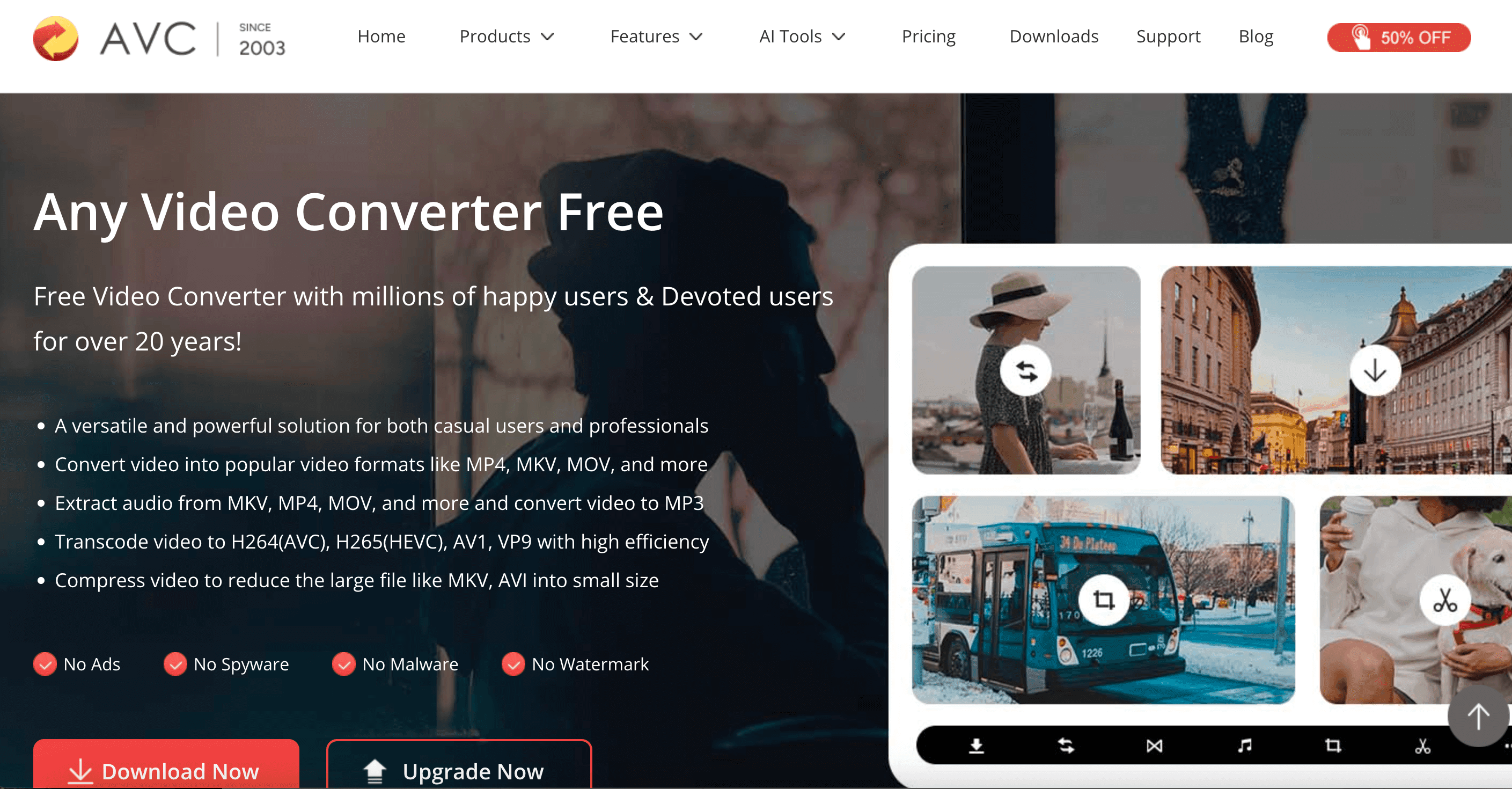 any-video-converter-download-page.png