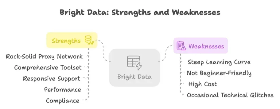 bright-data-strengths-and-weaknesses-overview.png