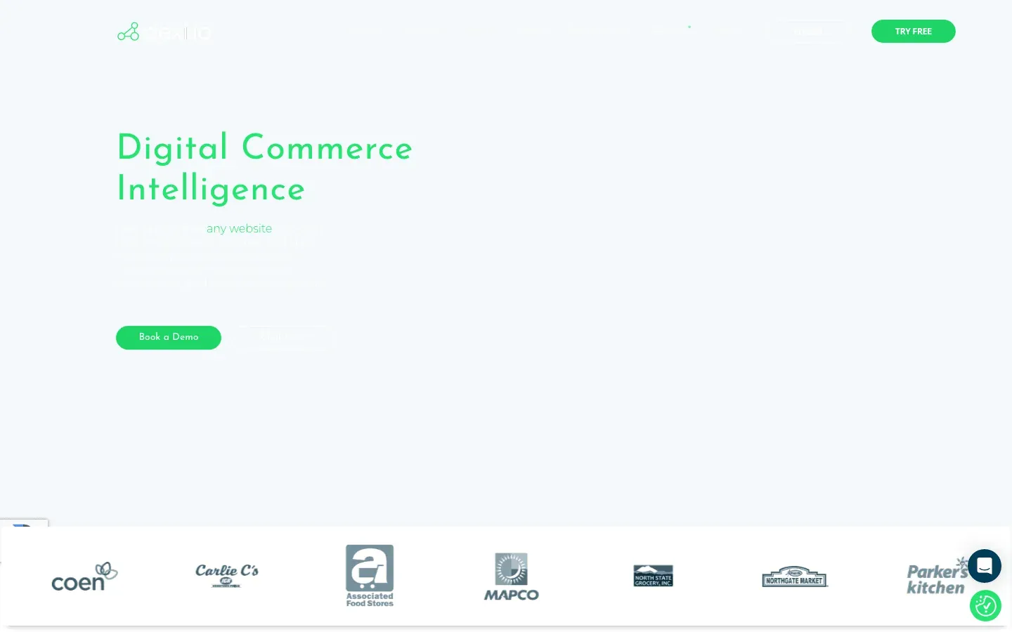 digital-commerce-intelligence-website.png