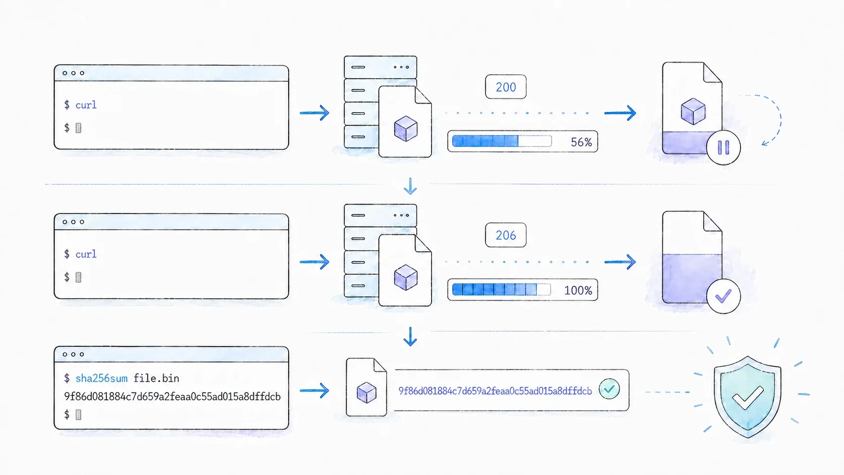 A resilient cURL download resumes after interruption and finishes with checksum verification