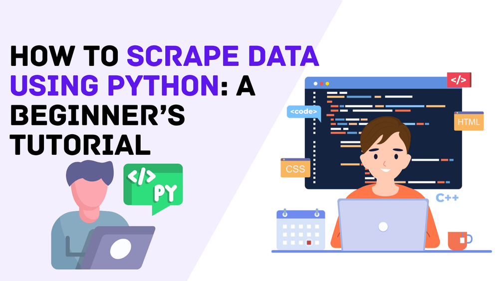 Python 数据抓取入门教程:零基础也能学会