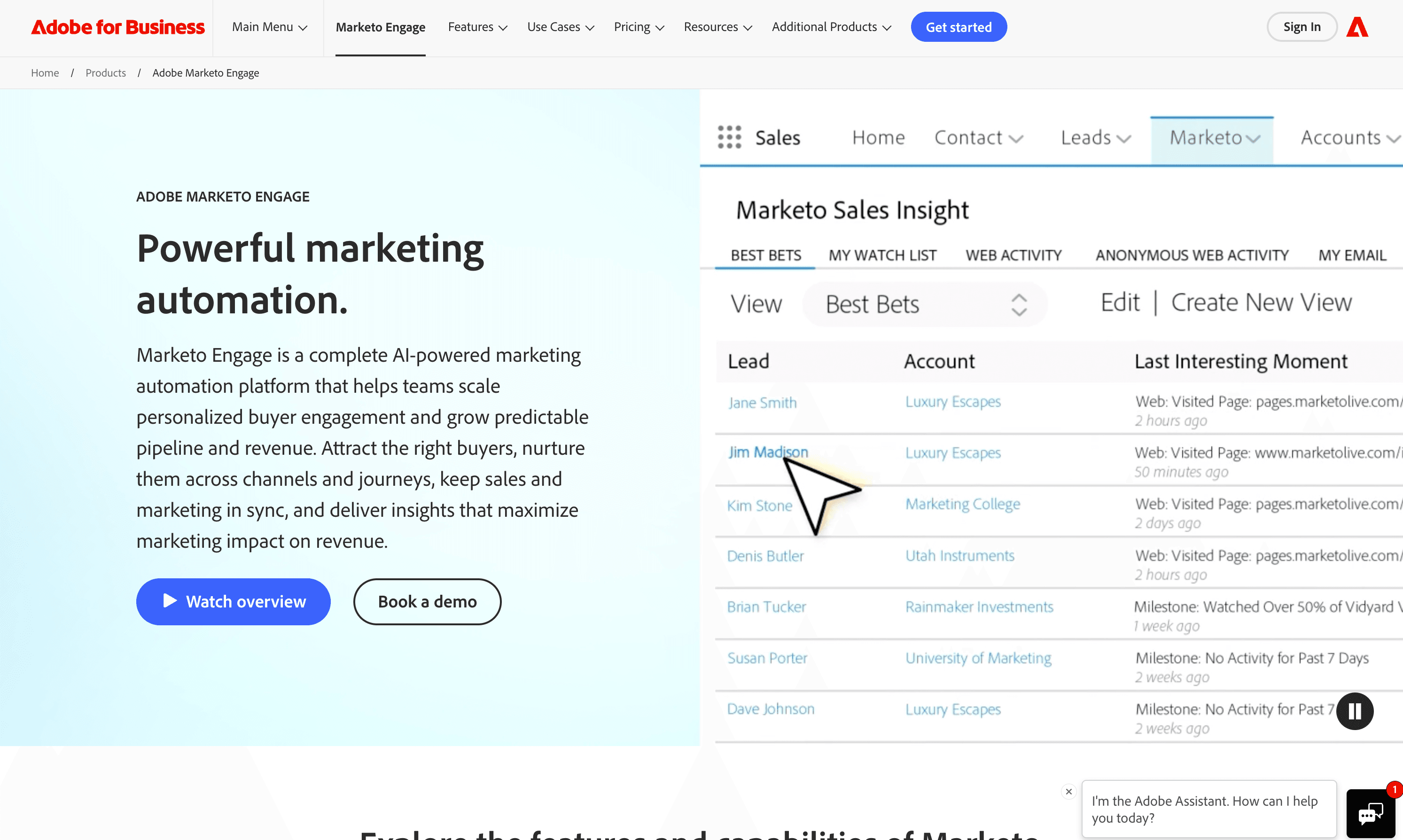 marketo homepage