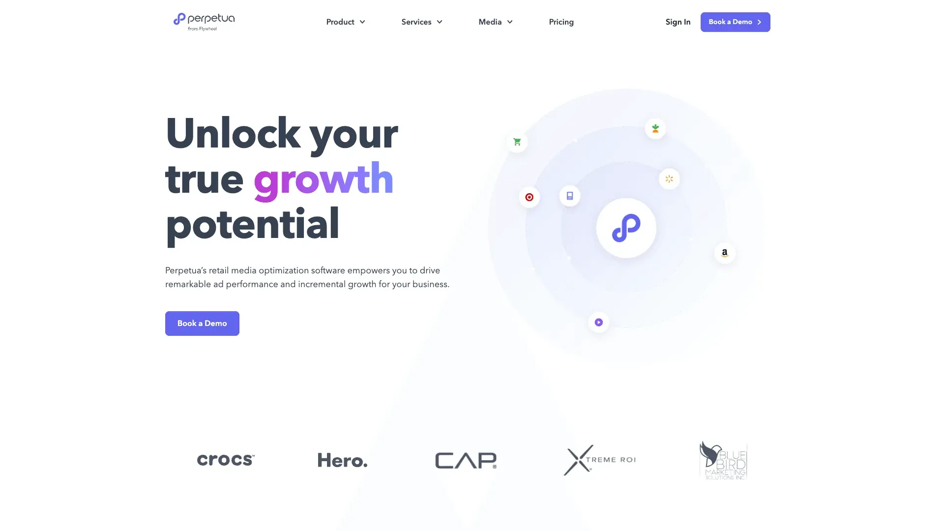 perpetua.io-homepage-1920x1080.png