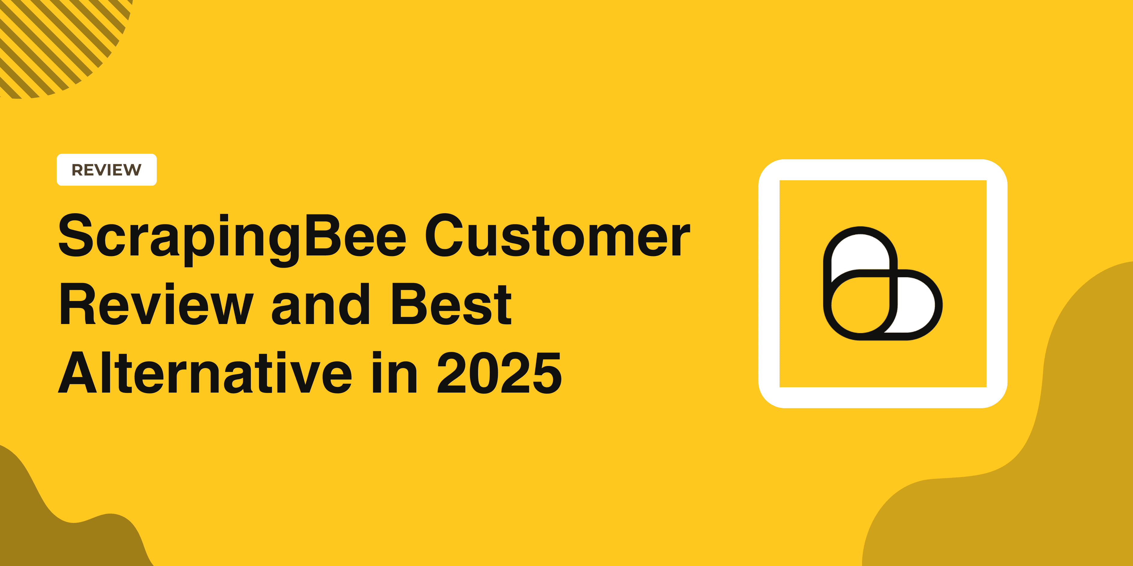 ScrapingBee Customer Review and Best Alternative in 2025