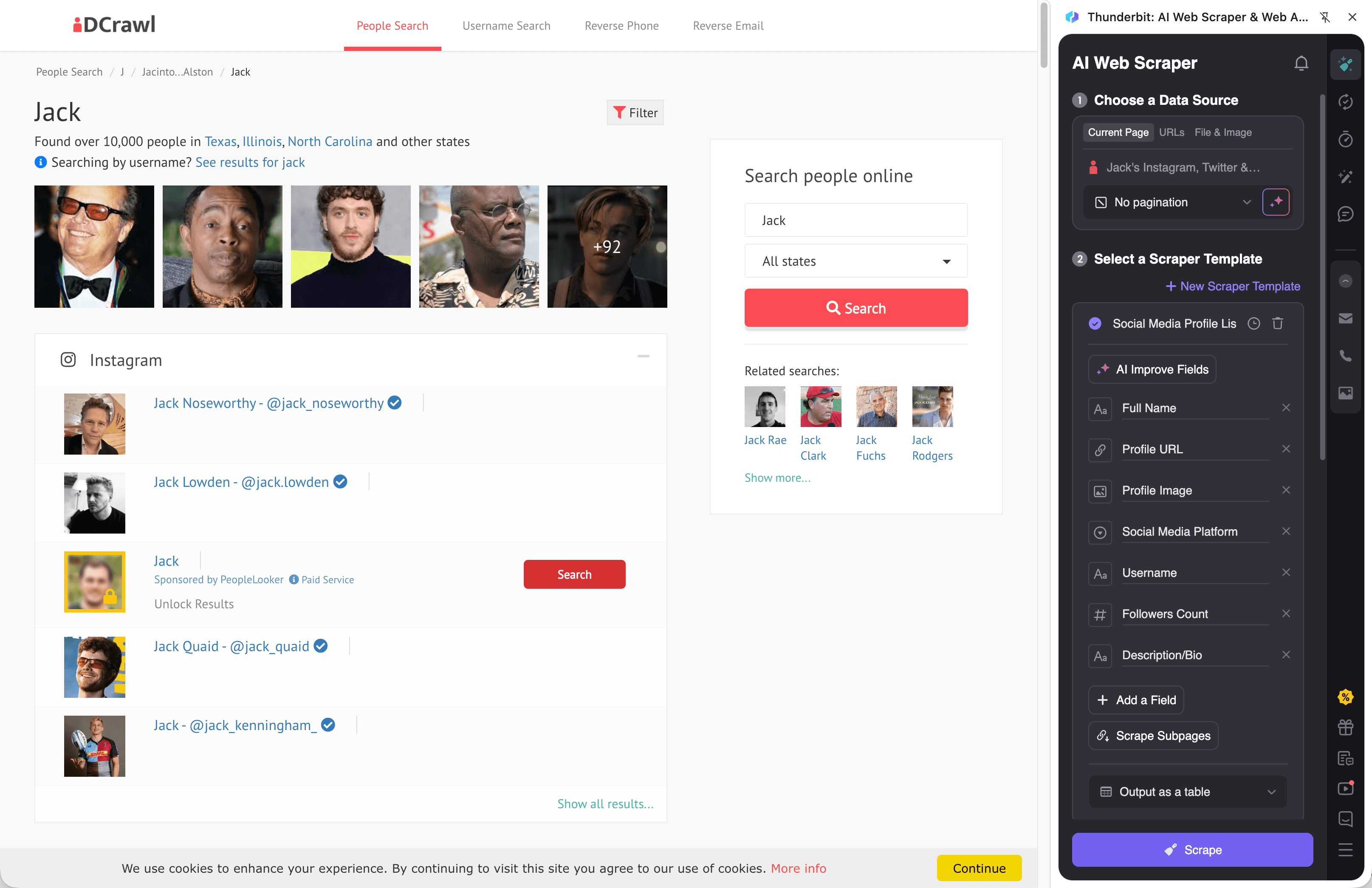 IDCrawl People Search Screenshot