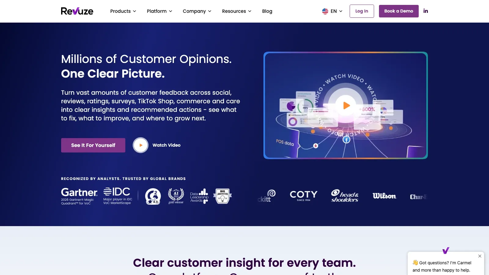 Revuze official website screenshot