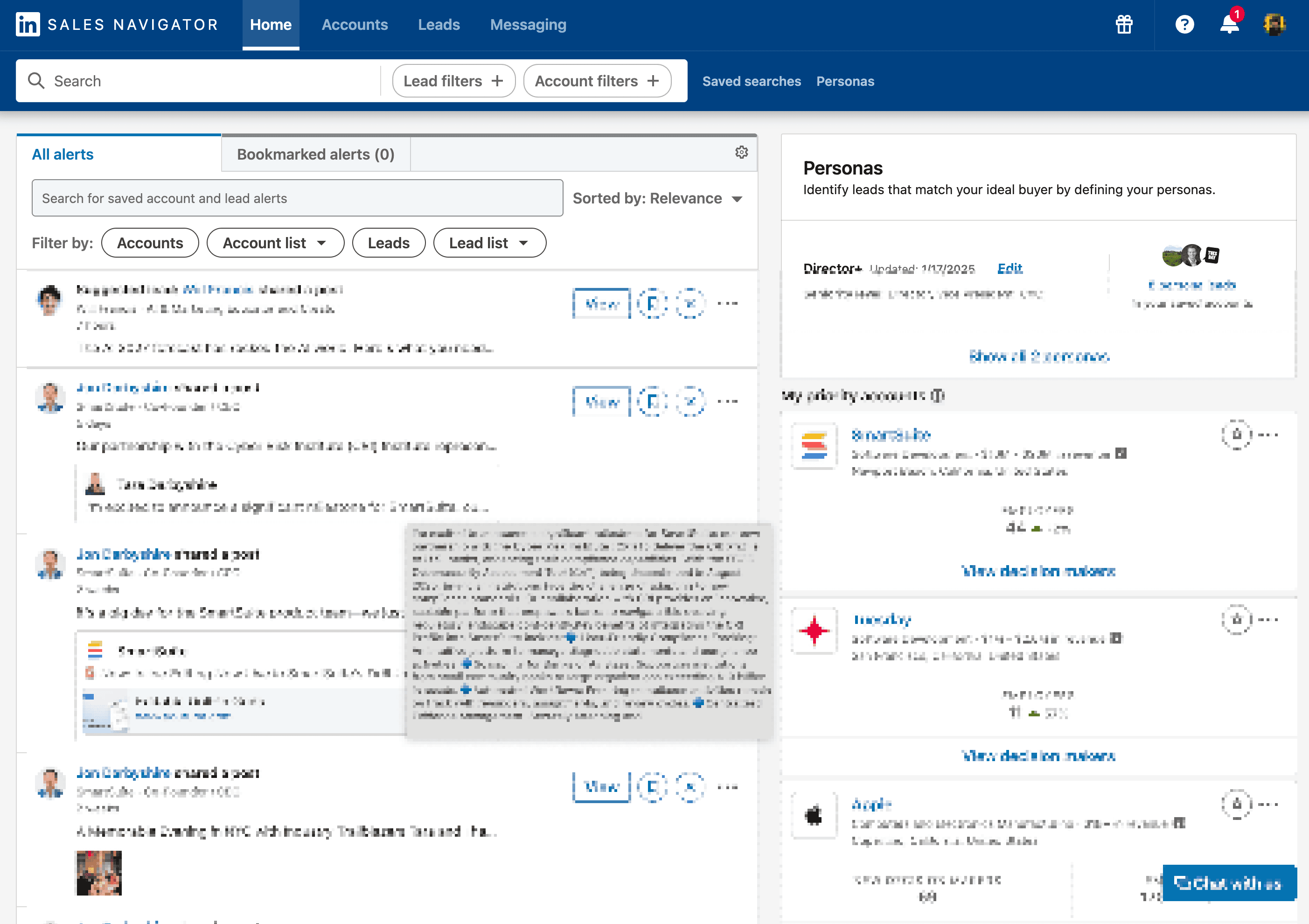 LinkedIn Sales Navigator Screenshot