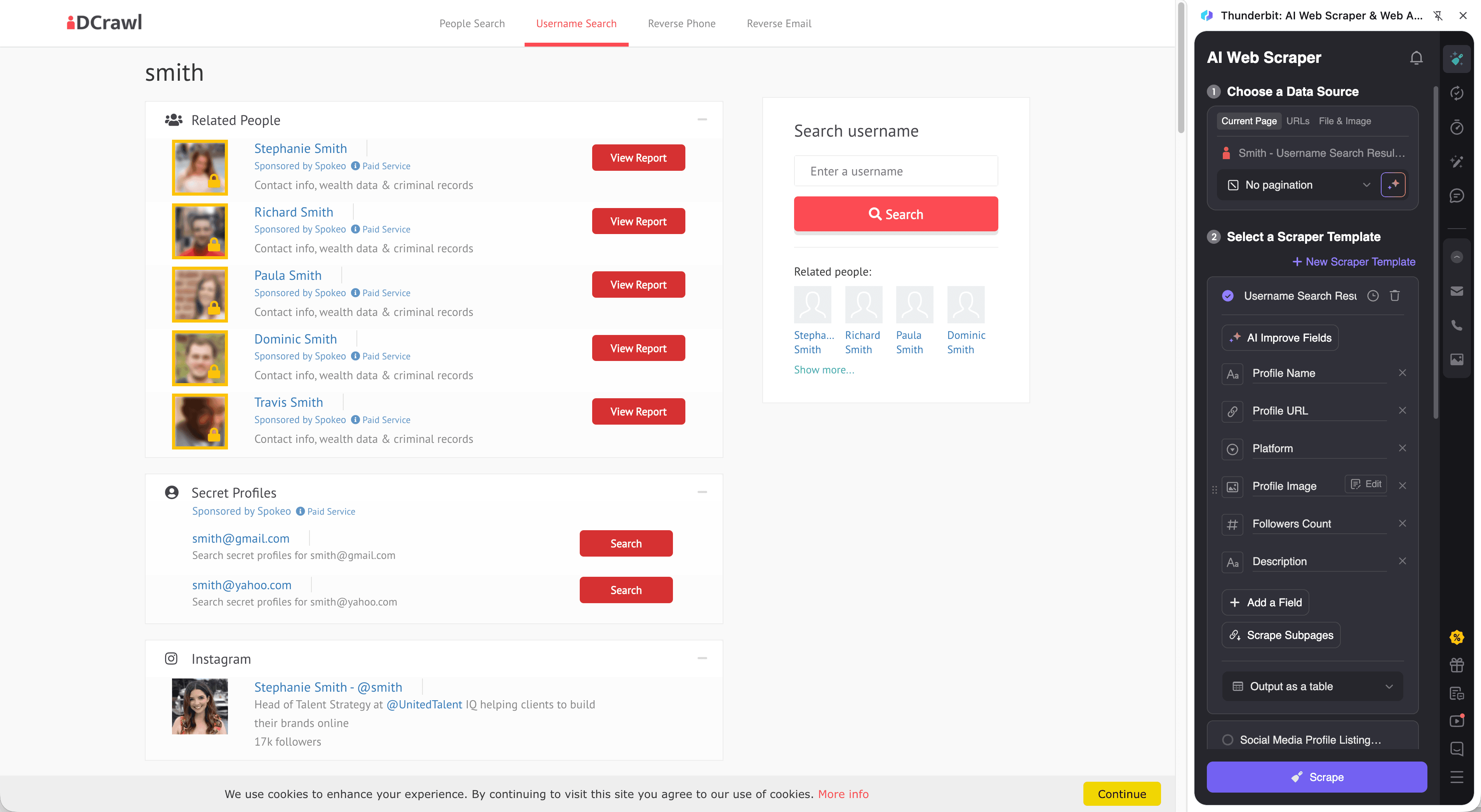 IDCrawl Username Search Screenshot